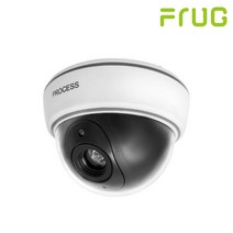 FRUG 모형 cctv 무선 감시카메라 실내 실외 방범용 카메라, 더미IR돔형