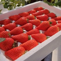 비타베리 딸기, 600g, 1개