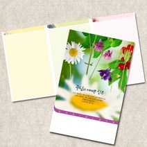 주보용지 3단 주보 교회 예배 주보인쇄 기성 디자인 칼라 청년부 주보 제작 기독교용품, EW-38