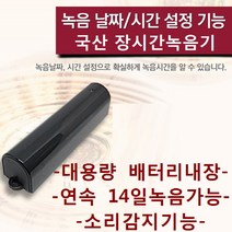 장시간녹음기 차량녹음기 날짜기능 자동소리감지녹음 연속14녹음, MQ-L500 16GB