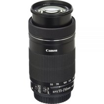 캐논 EF-S 55-250mm F4-5.6은 STM입니다., 렌즈만