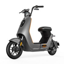 전기오토바이 자전기 출퇴근용 접이식전기 팻바이크 배달용 2인용 커플 충전용 시골 제주도, B 다크그레이, 48V