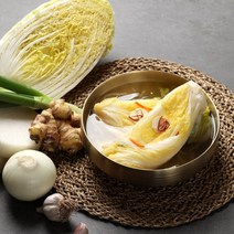 서안동농협 농협 풍산김치 백김치 2.5kg x 2통, 1