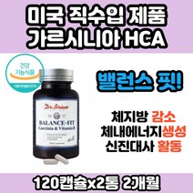 여성 체지방 감소 다이어트 추천 살 빼는법 가르시니아 HCA 3주 한달 살 똥배 얼굴살 빼기 줄이는법 방법 식품 음식 여자 산후 출산후 중년 30대 40대 50대