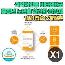 중장년 노년층 항산화 에너지 보충 영양제 멀티비타민 로얄젤리 체력 활력 만성 피로 회복제