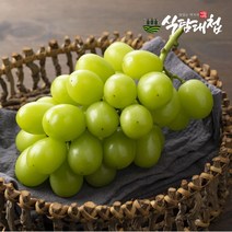 식탐대첩 국내산 가정용 샤인머스켓 1수 개당500-850g, 단품