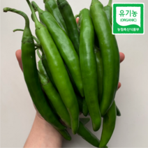 유기농미인풋고추 미인고추 아삭이 비타민 롱그린 청양고추 특품, 1kg, 유기농 미인고추, 1개