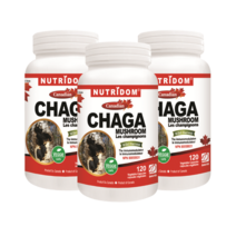 뉴트리돔 차가버섯 캐나다산 야생재배 120베지캡슐X 3병묶음, 3병