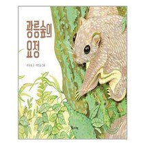 [우리나비]광릉숲의 요정 (양장), 우리나비