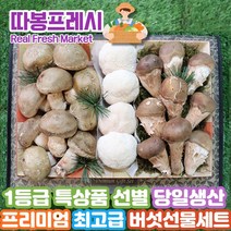 따봉프레시 당일생산 1등급 특상품 선별 프리미엄 최고급 버섯세트, 버섯세트 2호
