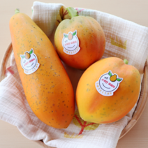 파파야 2호박스 (2~3과/1.5kg), 반반(완숙+90%), 1개, 1.5kg