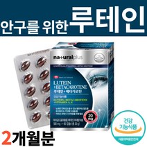 식약처 인증 캐나다산 고급 루테인 루태인 장기복용 아연 추출 알약 모양 캡슐 효능 추천 눈이 아플때 건조할때 시릴때 침침할때 아릴때 따가울때 영양제 보조제 먹는법 먹는방법 효과, 1개, 60캡슐