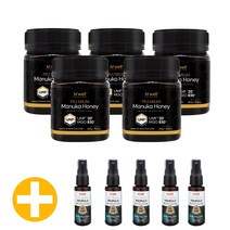 하이웰 마누카 꿀 허니 UMF20 250g 5개 천연 뉴질랜드 마누카꿀 직구, 단품