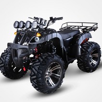 4륜 오토바이 대동메크론 가솔린 4발 오프로드 레저용 사륜 미니 엔진, 125cc