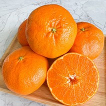 [제주직송]당도선별 레드향 1.5kg/2.5kg/4.5kg, 레드향(중과) 1.5kg (7-9내외)