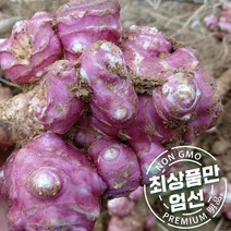 국산 무농약 말린 건돼지감자 500g 차 즙 효능 자색 물, 상세페이지 참조