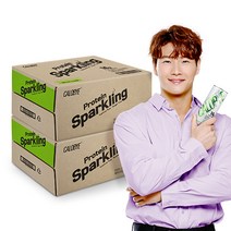 칼로바이 프로틴 스파클링 무설탕 단백질 보충제 레몬라임, 240ml, 48개