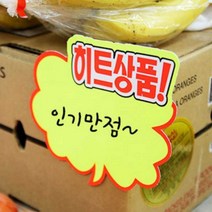 히트상품 SALE 신상품 가격인하 POP글씨 글씨체