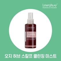 로하스보 스칼프 클렌징 미스트(150ml) LOHASBEAU Mist, 150