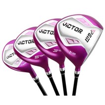 PGM 여성 골프채 풀 세트 초보 입문용골프채 티타늄, 9 철봉