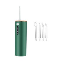 구강 관리기 잇몸관리 구강 kit 휴대용 dental usb 충전식 jet floss, 그린 프로