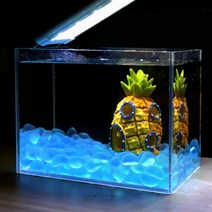 무광 형광 야광돌 500g 어항 꾸미기 장식 구피 키우기