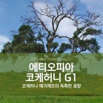 에티오피아 생두 코케허니 G3 예가체프 Koke Honey Yirgacheffe, 1KG, 1kg, 1개