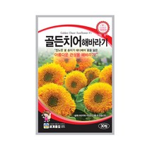 모칸도 (무배)세계 골든치어해바라기 꽃씨(30립)