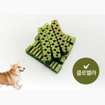 덴탈 면역력 케어 강쥐 간식 100g 토이푸들 치석제거 선물 강아지 구강관리