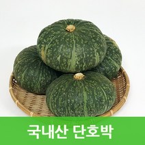 국내산 단호박10kg 영양만점 국내산단호박, 국내산 단호박10kg(7-9수), 1개