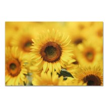 narinato 포인트 거실인테리어 벽장식 판화 유화그림액자 가죽액자 인테리어액자, 소