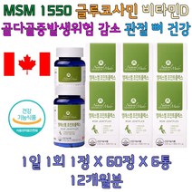 엠에스엠 비타민D 상어연골 히알루론산 관절 건강 주부 50대 60대 남자 여자 어버이날 중반 후반 선물