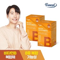 퍼니트 메리트비 비타민B 컴플렉스 활력비타민 2박스 4개월분, 단품