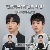 블링하이 ABC 전체가발 5종 쓰기쉬운 트렌디한 남자머리 패션가발 남자, 1개, 3. Z 스왈로펌 M 자연검정