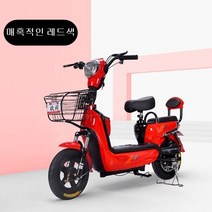 2인용전기자전거전동스쿠터, 포근한하늘색