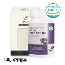 눈엔 차즈기 눈영양제 프리미엄 국산 차즈기추출물 차조기 차지기 빌베리 자소엽 효능 식약처 해썹 인증, 프리미엄120정x1통