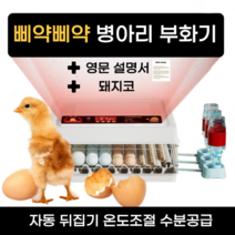 병아리 부화기 육추기 미니메추리 유정란 계란 부화 키우기 분양, 30란