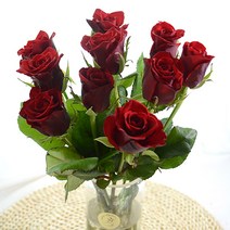 장미꽃 생화 꽃다발 생화택배 여자친구선물, 레드장미