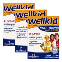 Vitabiotics Wellkid 비타바이오틱스 웰키즈 멀티비타민 스마트 츄어블 30정 3팩