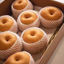 과일꾼 산지직송 나주배 햇배 가정용 3kg/5kg, 01.23년 나주햇배 가정용 3kg 4-8과