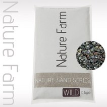 웰컴펫 네이쳐팜 샌드 와일드 C 타입 4kg (1.2mm ~3.6mm), 1개
