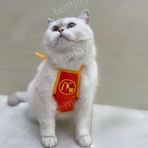 고양이 햄버거 모자 애견 반려견 특이한 귀여운 용품, 앞치마M (4kg미만)