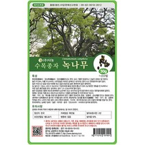 브랜드없음 녹나무씨앗 1kg[AJ], 단품없음