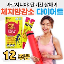 복부지방 체지방 감소 가르시니아 2주 4주 다이어트 단기간 한달 30대 결혼 준비 예신 다이어트 HCA Diet 피하지방 내장지방 살빼는법 운동 홈트 뱃살빼는운동 온라인PT