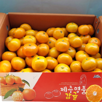 산지직송 제주도 서귀포 고당도 극조생감귤 제주 프리미엄 명품 감귤 가정용 새콤달콤 신선한 귤, 로얄소과(2S-S) 3kg