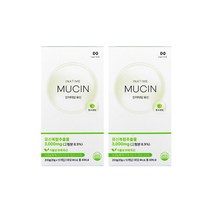 인어타임 식물성 뮤신 풋사과맛 콜라겐, 200g, 2개