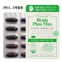 뉴트리랩스 포스타딜세린 분말 캡슐 대두추출 포스파티딜세린 가루 알약형 식약처인증 식약청 300mg ps 뇌영양제 기억력 인지력 두뇌 뇌세포 징코 수험생 어린이 중년 노년 효능 추천, 3개 3개월분, 1개당 60캡슐