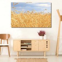 유홍아트 벼이삭 가을 와이드 풍경 사진 그림 액자 6호(41x27cm) (5729199)