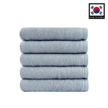 데일리스탠다드 대한민국 플렉스 항균 수건 뱀부얀 170g 1매 국내산 세면타올 고급타올 최고급면, 모던 그레이 5매