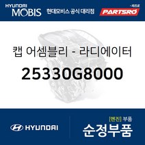 라디에이터 캡 (25330G8000) 그랜저IG 쏘나타LF 현대모비스부품몰